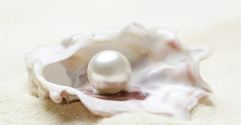 Basra Pearls: The Most Stunning Pearl Of The World